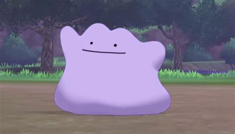 [COMPLETED] Ditto .